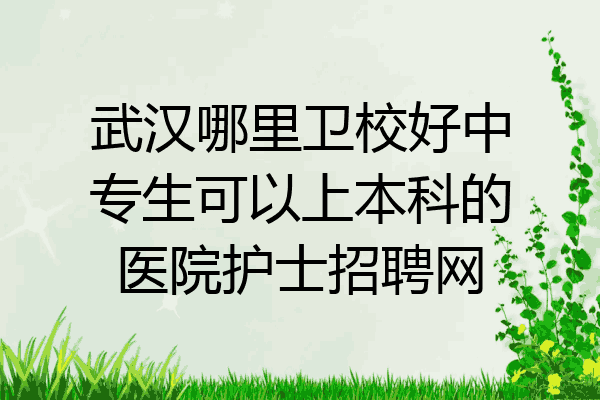 武汉哪里卫校好中专生可以上本科的医院护士招聘网