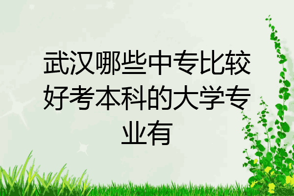 武汉哪些中专比较好考本科的大学专业有