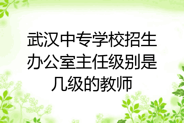 武汉中专学校招生办公室主任级别是几级的教师