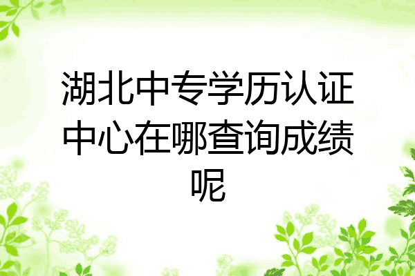 湖北中专学历认证中心在哪查询成绩呢