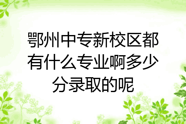 鄂州中专新校区都有什么专业啊多少分录取的呢