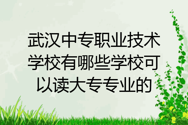 武汉中专职业技术学校有哪些学校可以读大专专业的