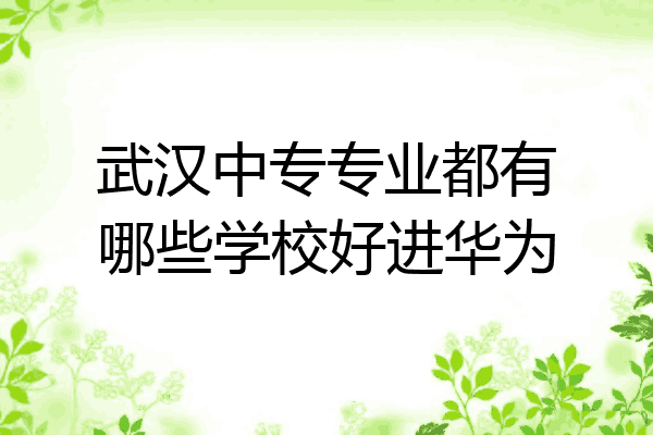 武汉中专专业都有哪些学校好进华为