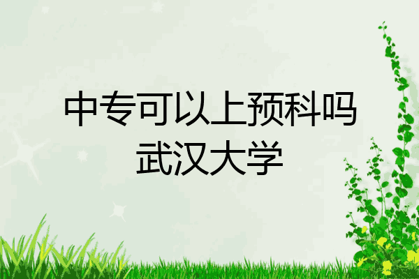 中专可以上预科吗武汉大学