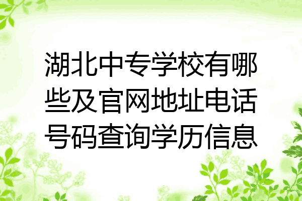 湖北中专学校有哪些及官网地址电话号码查询学历信息
