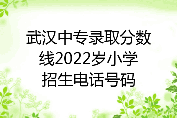 武汉中专录取分数线2022岁小学招生电话号码