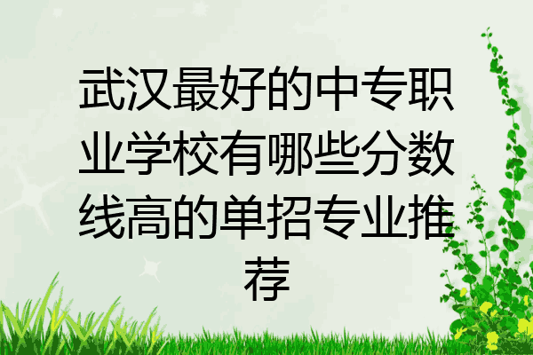 武汉最好的中专职业学校有哪些分数线高的单招专业推荐