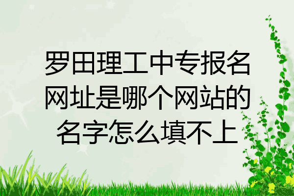 罗田理工中专报名网址是哪个网站的名字怎么填不上