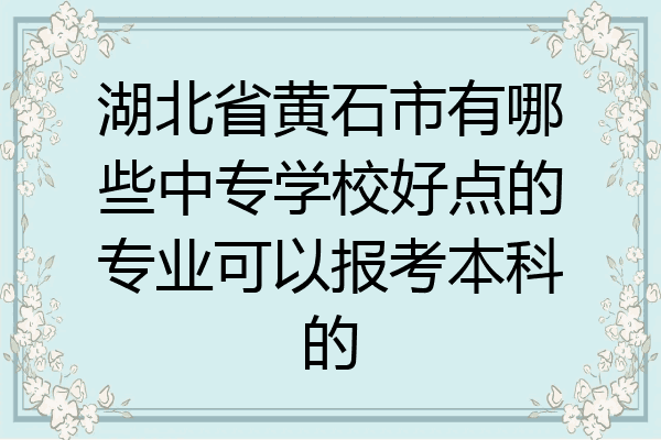 湖北省黄石市有哪些中专学校好点的专业可以报考本科的
