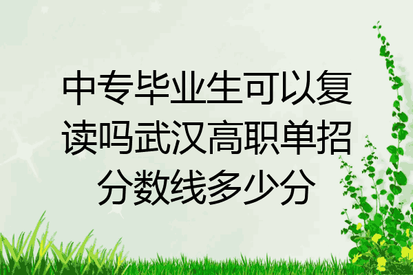 中专毕业生可以复读吗武汉高职单招分数线多少分