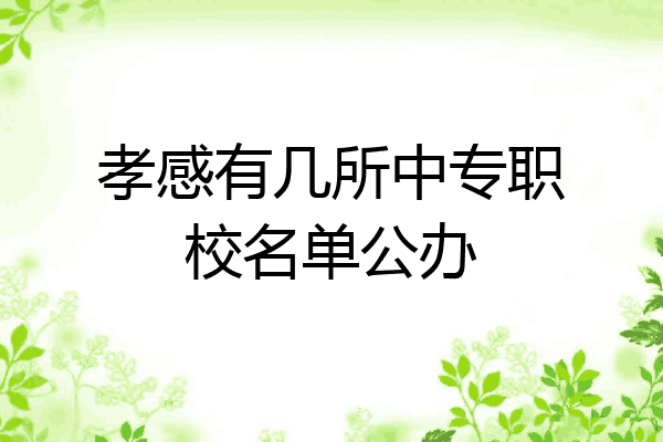 孝感有几所中专职校名单公办