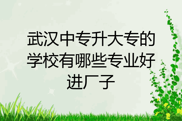 武汉中专升大专的学校有哪些专业好进厂子