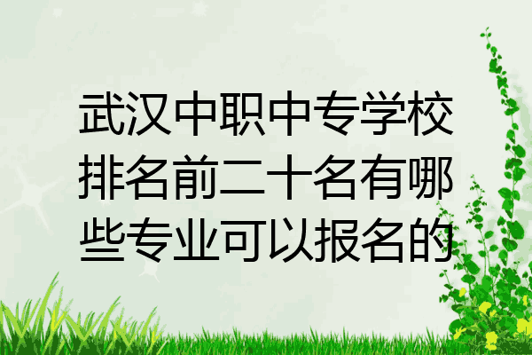 武汉中职中专学校排名前二十名有哪些专业可以报名的