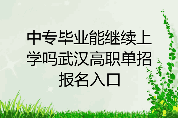 中专毕业能继续上学吗武汉高职单招报名入口