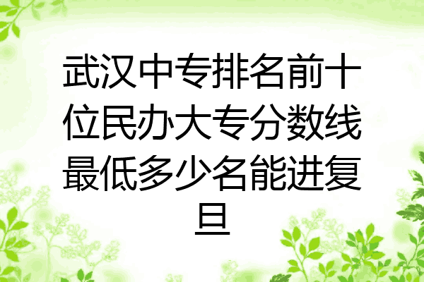 武汉中专排名前十位民办大专分数线最低多少名能进复旦