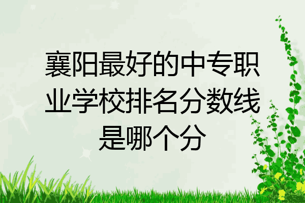 襄阳最好的中专职业学校排名分数线是哪个分