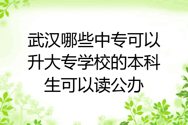 武汉哪些中专可以升大专学校的本科生可以读公办