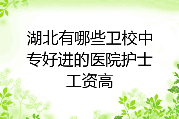 湖北有哪些卫校中专好进的医院护士工资高