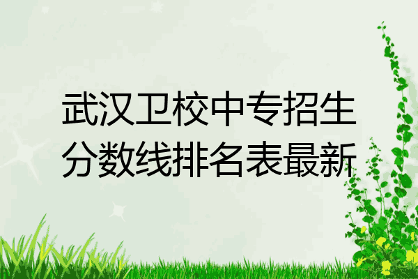 武汉卫校中专招生分数线排名表最新