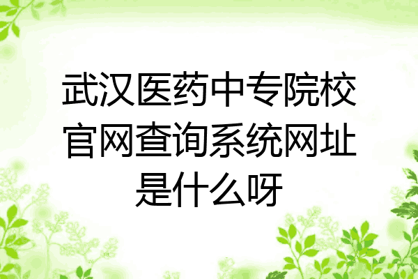 武汉医药中专院校官网查询系统网址是什么呀