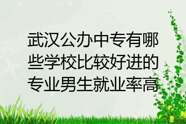 武汉公办中专有哪些学校比较好进的专业男生就业率高