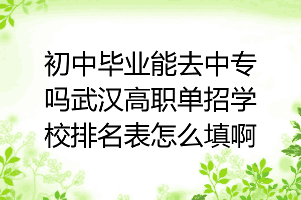 初中毕业能去中专吗武汉高职单招学校排名表怎么填啊