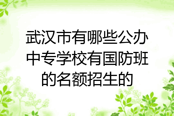 武汉市有哪些公办中专学校有国防班的名额招生的