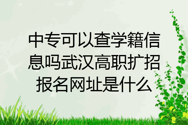 中专可以查学籍信息吗武汉高职扩招报名网址是什么