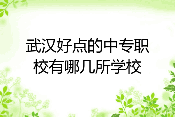 武汉好点的中专职校有哪几所学校