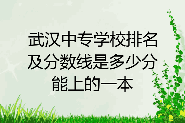 武汉中专学校排名及分数线是多少分能上的一本