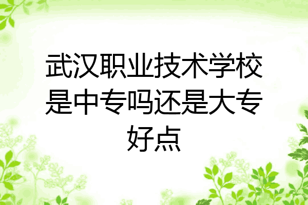 武汉职业技术学校是中专吗还是大专好点