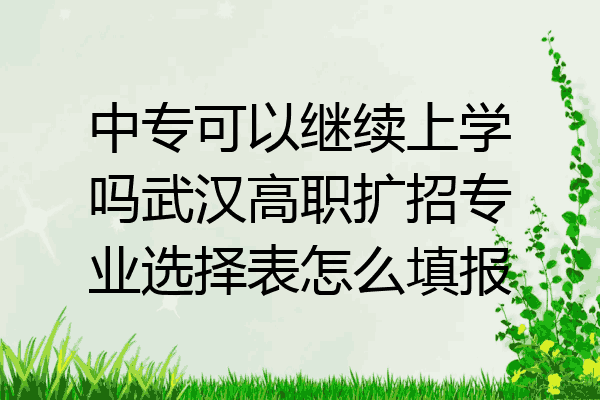 中专可以继续上学吗武汉高职扩招专业选择表怎么填报