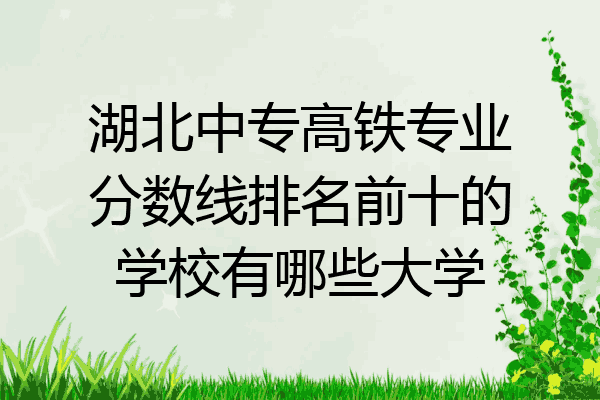 湖北中专高铁专业分数线排名前十的学校有哪些大学
