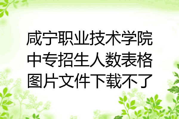 咸宁职业技术学院中专招生人数表格图片文件下载不了