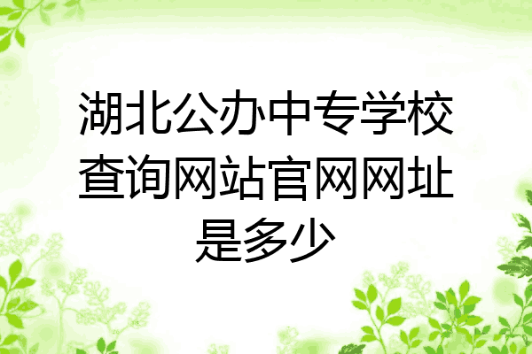 湖北公办中专学校查询网站官网网址是多少