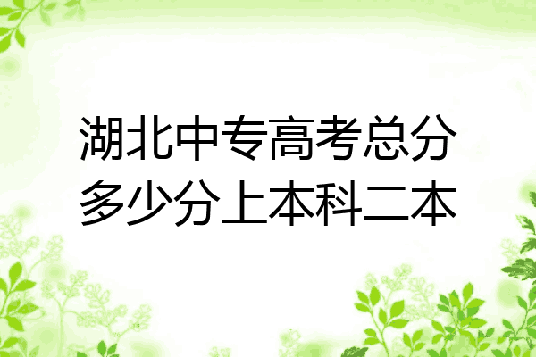湖北中专高考总分多少分上本科二本