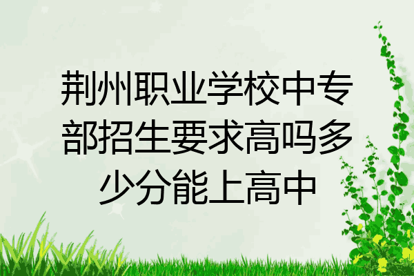 荆州职业学校中专部招生要求高吗多少分能上高中