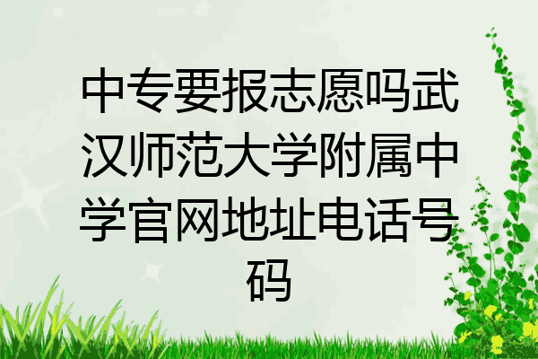 中专要报志愿吗武汉师范大学附属中学官网地址电话号码