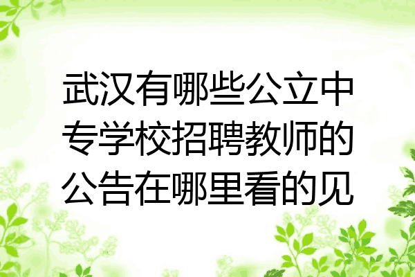 武汉有哪些公立中专学校招聘教师的公告在哪里看的见