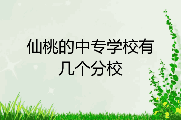 仙桃的中专学校有几个分校