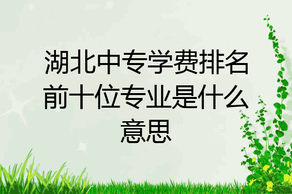 湖北中专学费排名前十位专业是什么意思