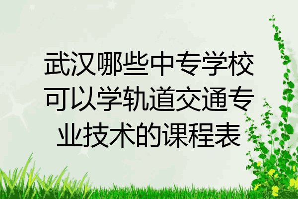 武汉哪些中专学校可以学轨道交通专业技术的课程表