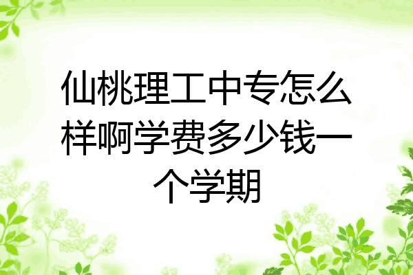仙桃理工中专怎么样啊学费多少钱一个学期
