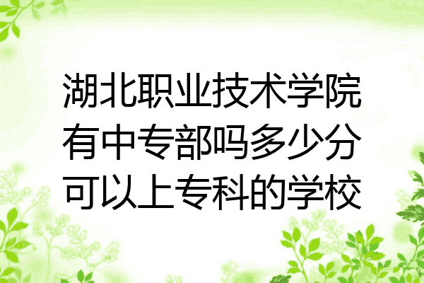 湖北职业技术学院有中专部吗多少分可以上专科的学校