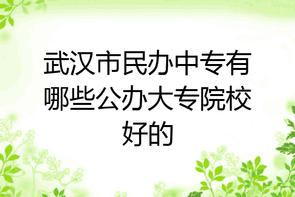 武汉市民办中专有哪些公办大专院校好的