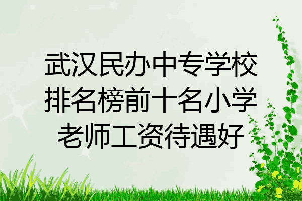 武汉民办中专学校排名榜前十名小学老师工资待遇好