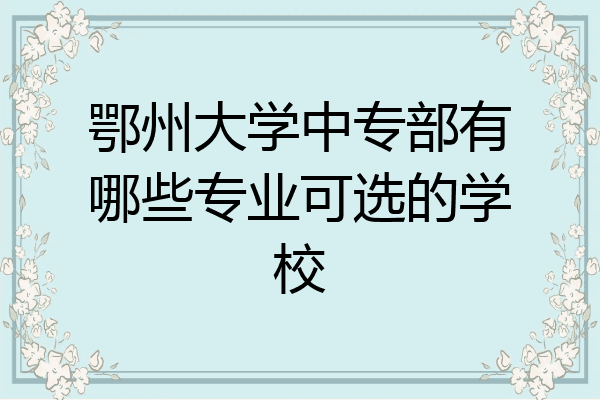 鄂州大学中专部有哪些专业可选的学校