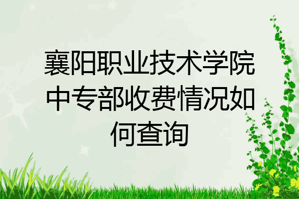 襄阳职业技术学院中专部收费情况如何查询