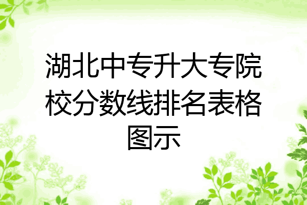 湖北中专升大专院校分数线排名表格图示
