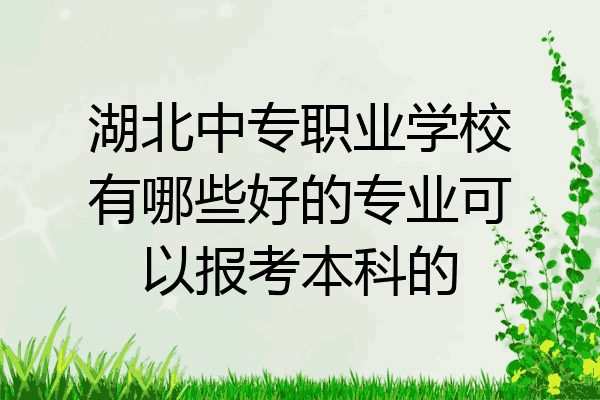 湖北中专职业学校有哪些好的专业可以报考本科的